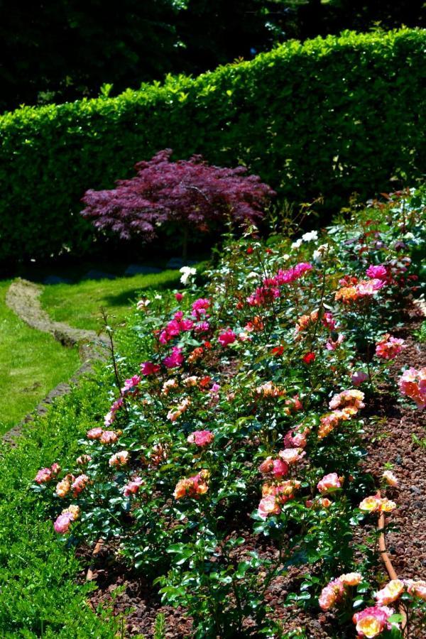 Le Grigne Guesthouse - The Garden Oliveto Lario Exterior photo